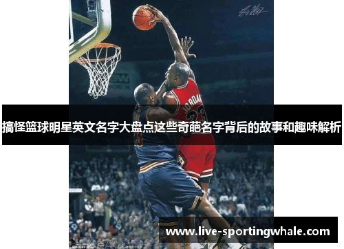 搞怪篮球明星英文名字大盘点这些奇葩名字背后的故事和趣味解析