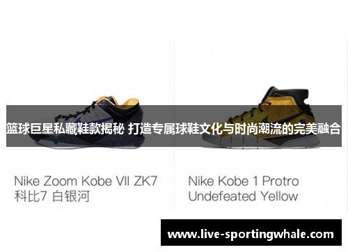 篮球巨星私藏鞋款揭秘 打造专属球鞋文化与时尚潮流的完美融合