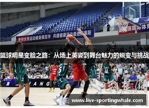 篮球明星变脸之路：从场上英姿到舞台魅力的蜕变与挑战
